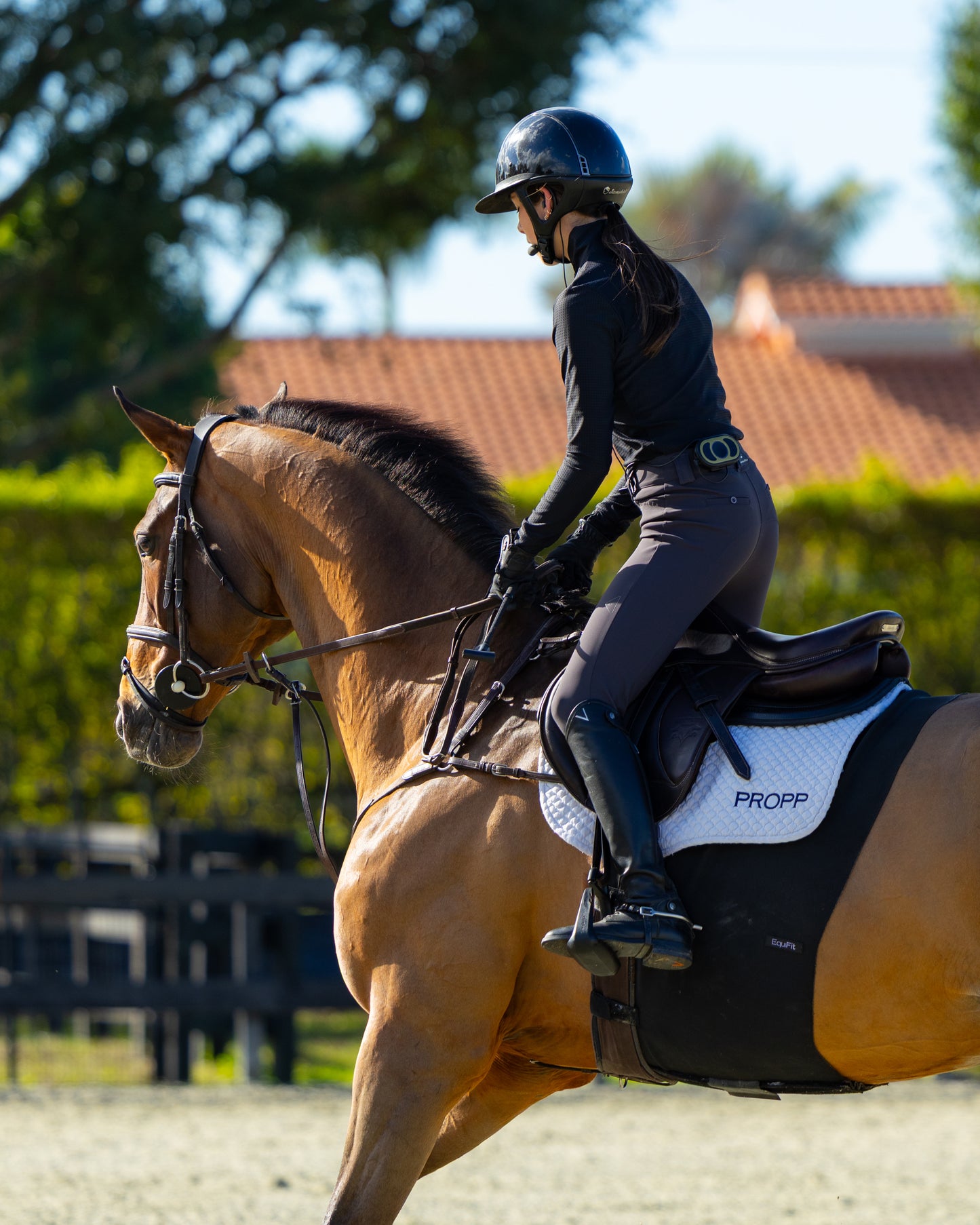 Limited Edition CEECOACH Plus Duo Kit - GOLD